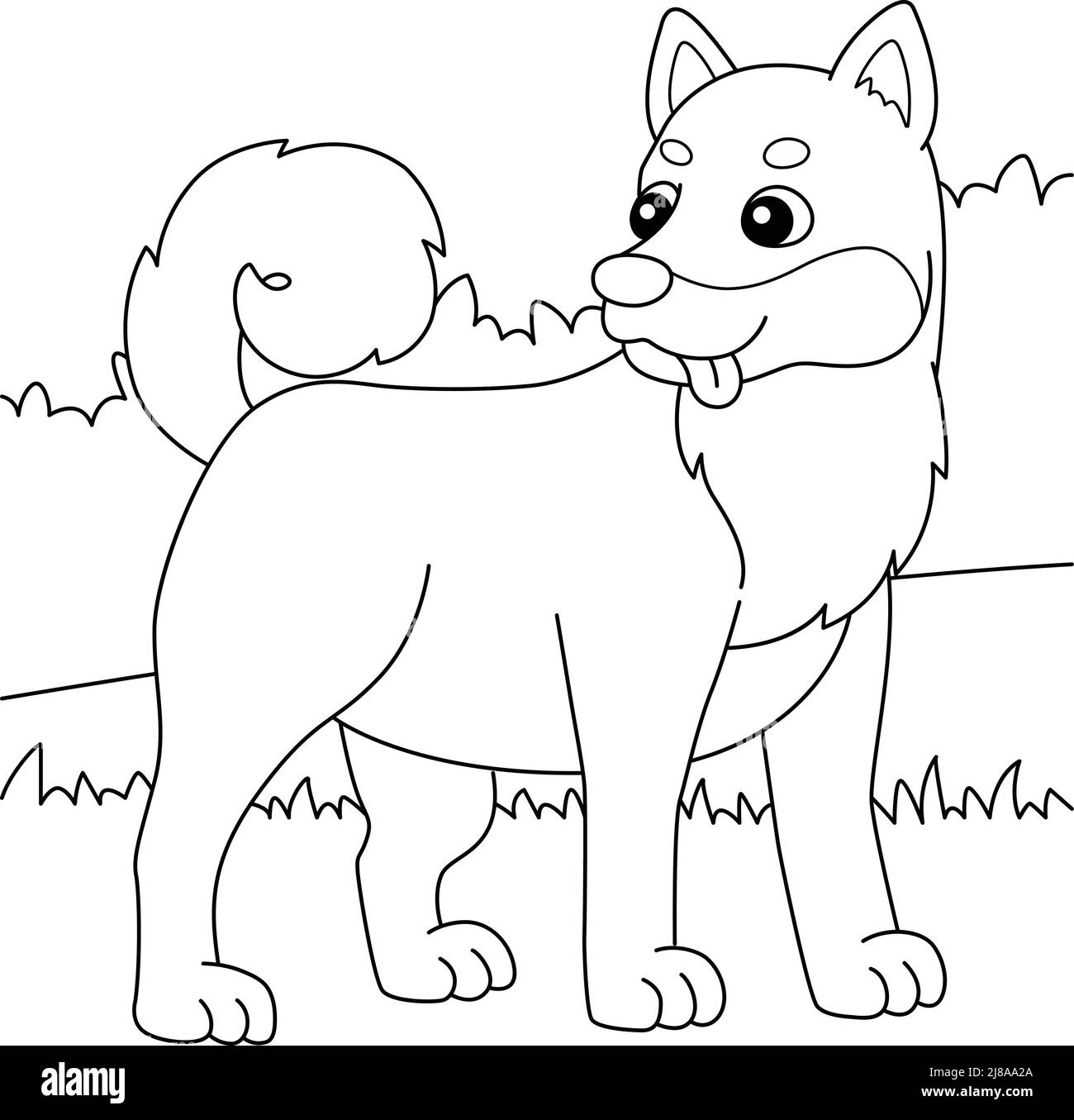 Shiba black and white stock photos images