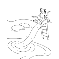 Lizard on a slide