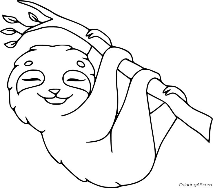 Sloth coloring pages animal coloring pages coloring pages cute coloring pages