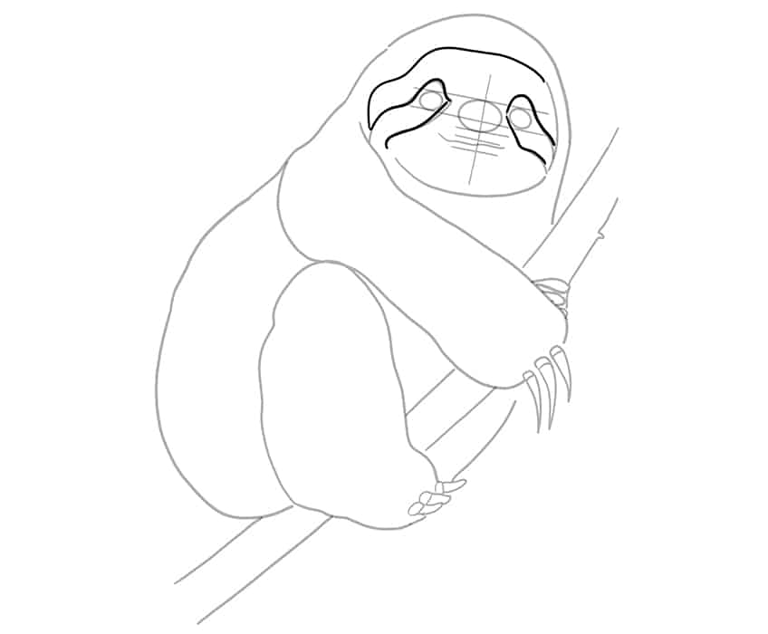 How to draw a sloth