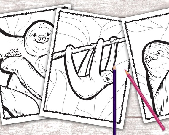 Sloth coloring pages digital download kids coloring book colouring book sloth printable coloring pages slothes slothed