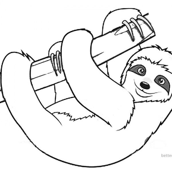 Sloth coloring pages sloth listen music