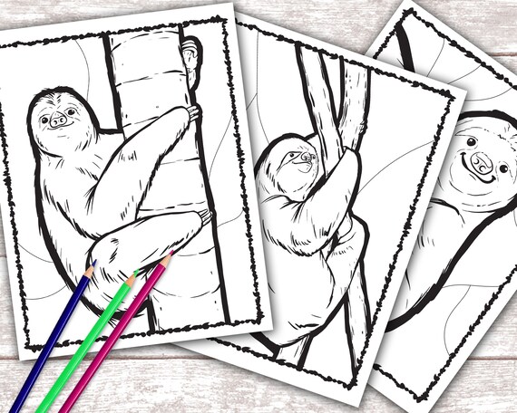 Sloth coloring pages digital download kids coloring book colouring book sloth printable coloring pages slothes slothed