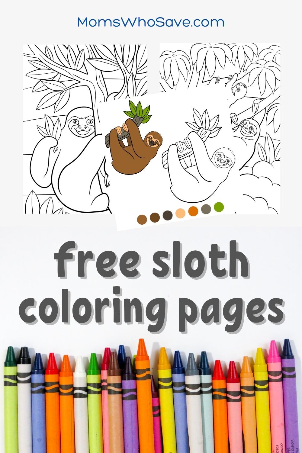 Sloth coloring pages free printables