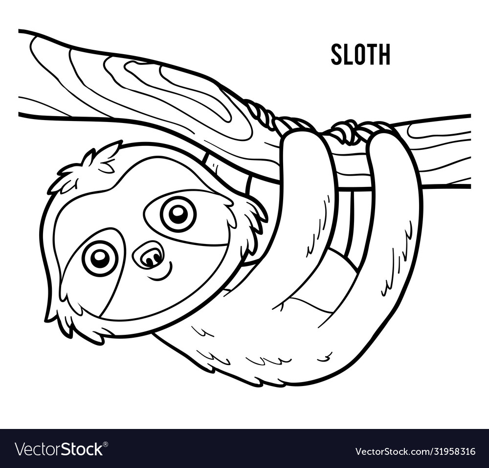 Coloring book sloth royalty free vector image