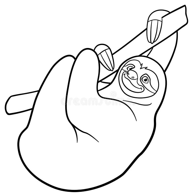 Coloring pages cute lazy sloth hangs on the tree stock vector