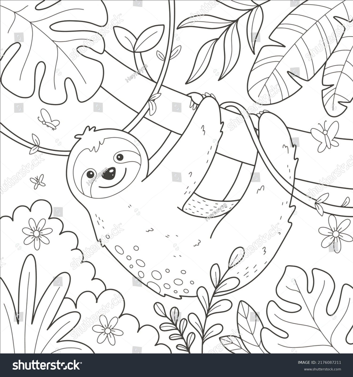 Sloth coloring book images stock photos d objects vectors