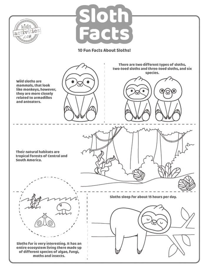 Awesome sloth facts you didnt know about kids activities blog