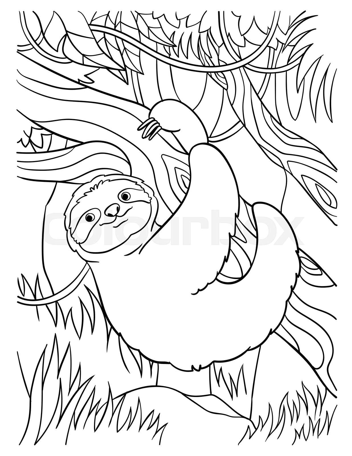 Sloth coloring page for kids stock vector