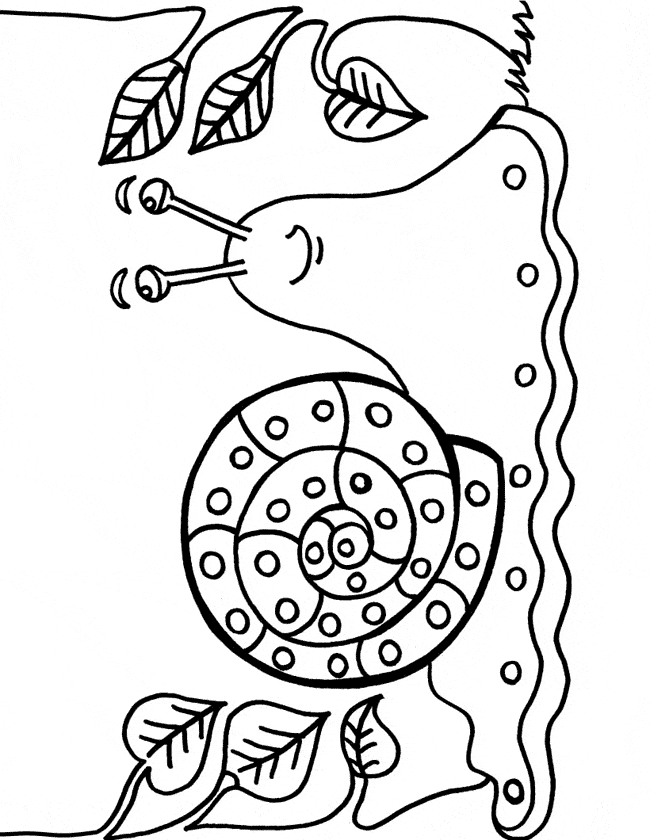 Slug coloring page