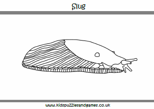 Slug louring page