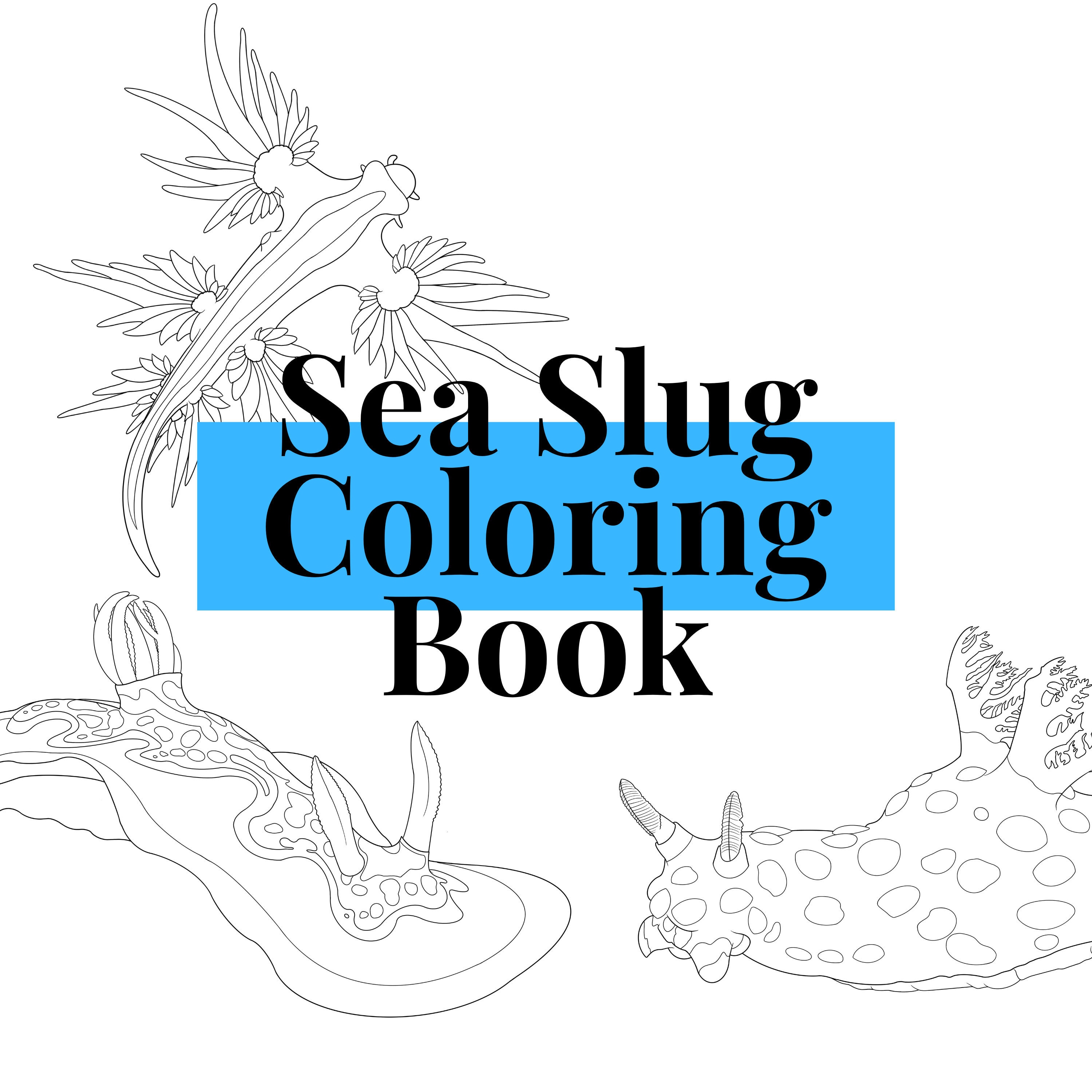 Sea slug nudibranch digital coloring book pdf great for both coloring digitally and printing out to color download now