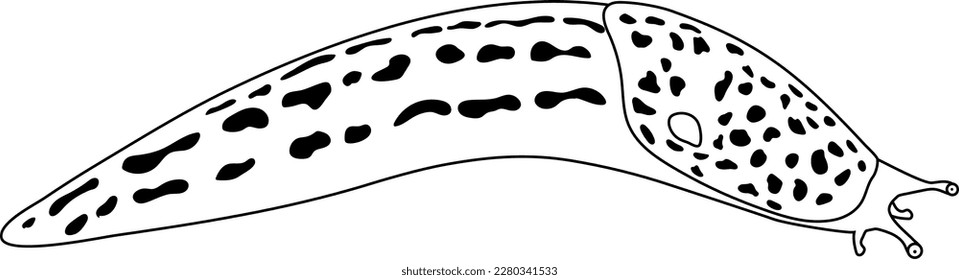 Coloring page slug line drawing stock vector royalty free