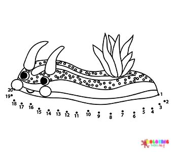 Coloring pages for kids and adults coloring pages free printable coloring pages coloring pages for kids