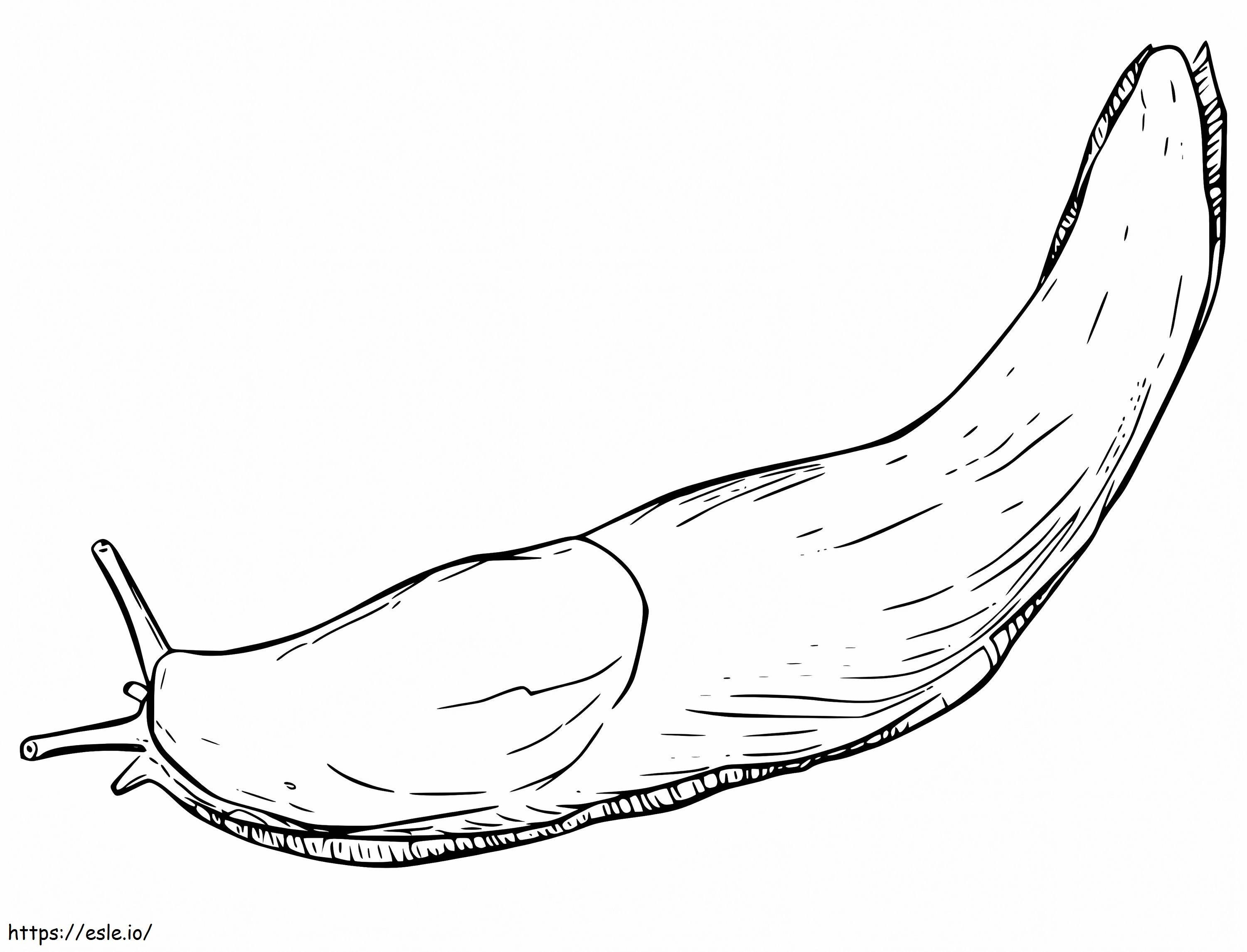Printable slug coloring page