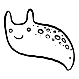 Slug coloring pages printable for free download