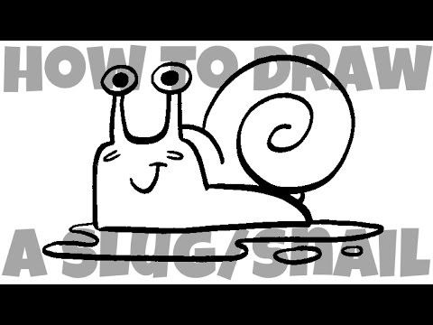 How to draw a slugsnail