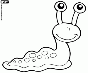 Insects and other little animals coloring pages printable games coloring pages animal coloring pages slugs