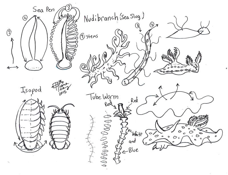 Draw sea slugs and stuff by diana