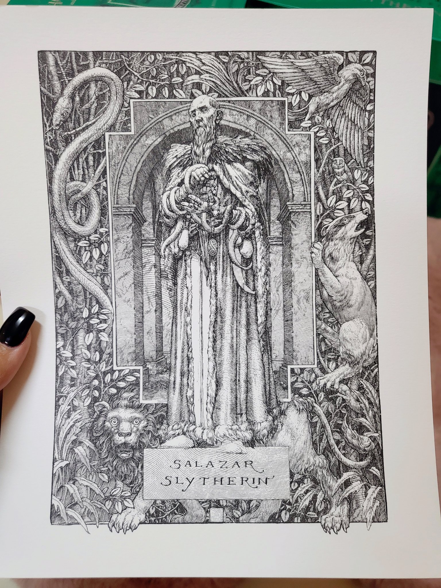 Âïâ anfal âïïâ on x my harry potter book set has finally arrived slytherin edition ðð httpstcowkwmjod x