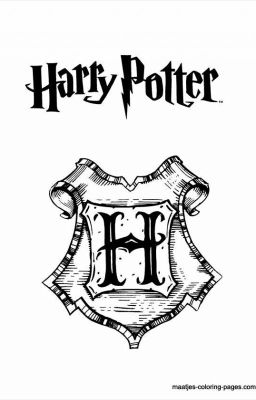 Harry potter analysis