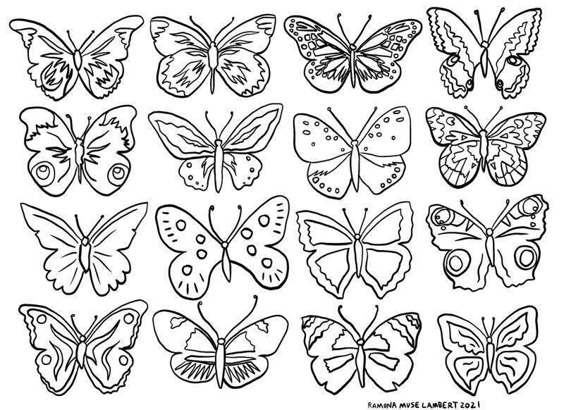 Coloring page beautiful butterflies the gazette