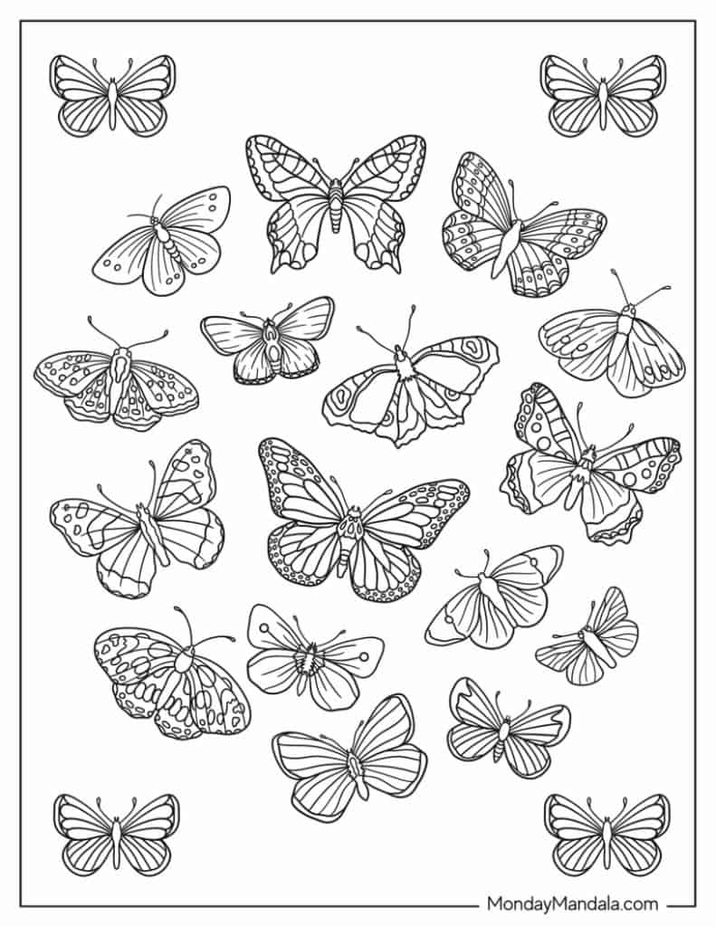 Butterfly coloring pages free pdf printables