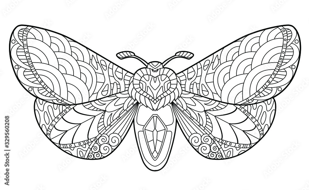 Butterfly coloring page for children and adults beautiful drawings with patterns and small details hand drawing vector illustration in black outline on a white background vector