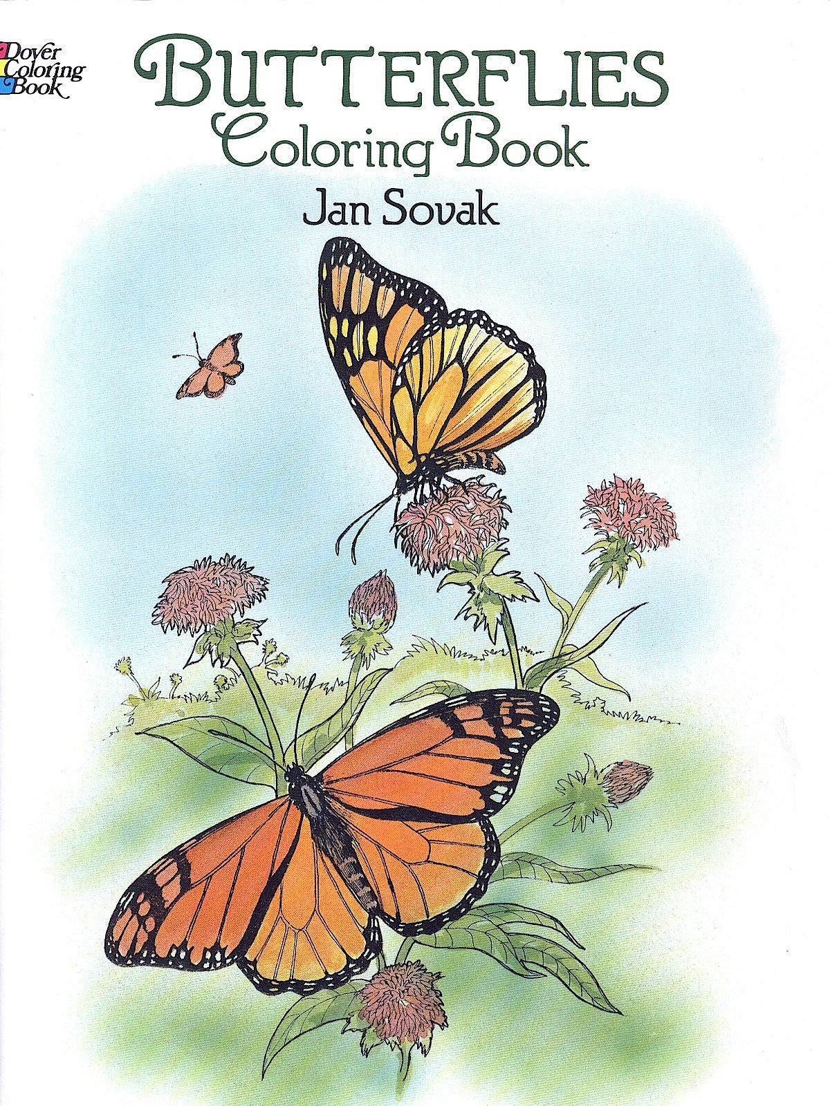 Butterflies coloring book