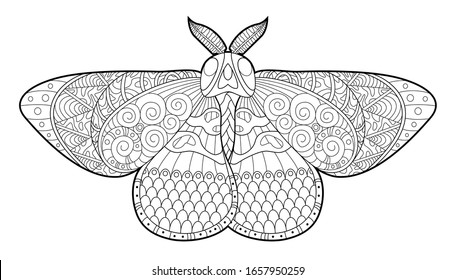 Butterfly moth coloring page children adults stock vector royalty free