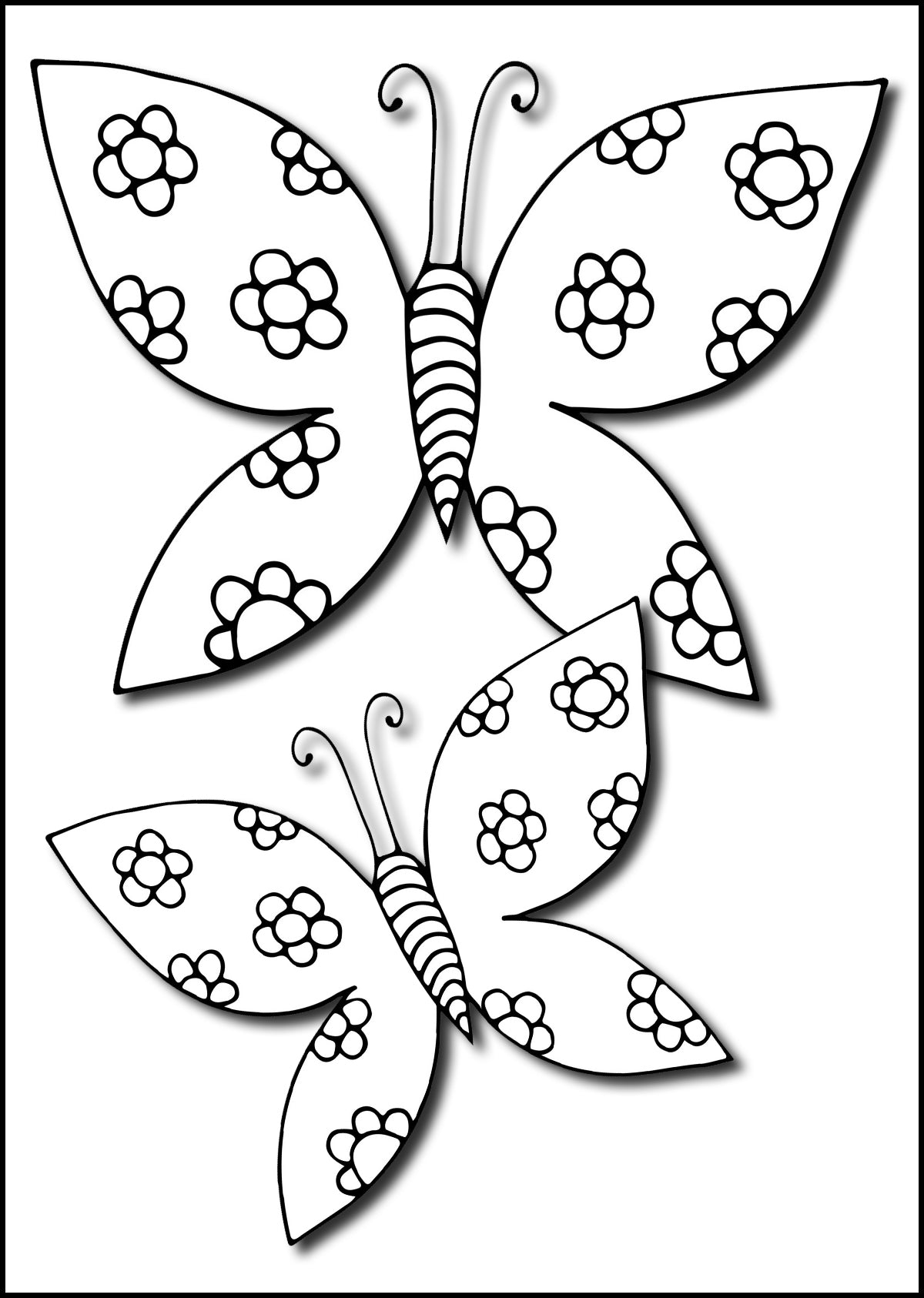 Large print butterflies