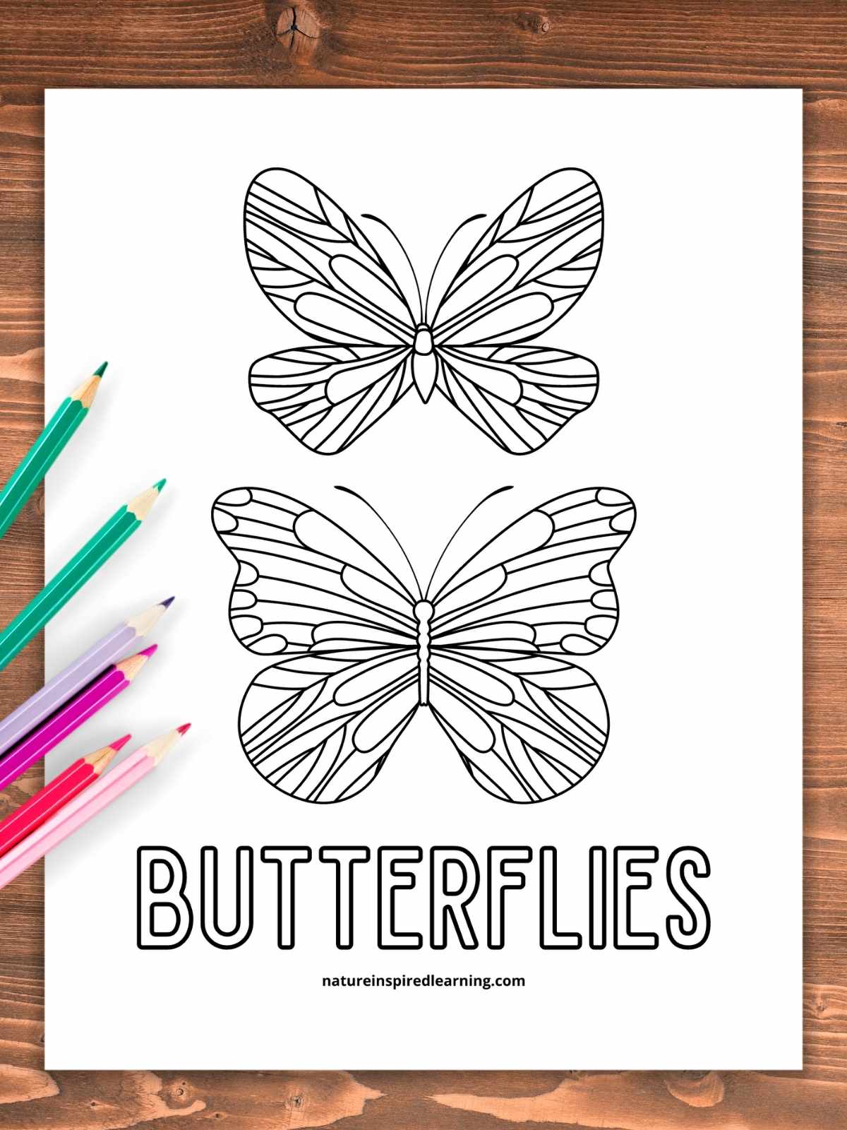 Beautiful butterfly coloring pages