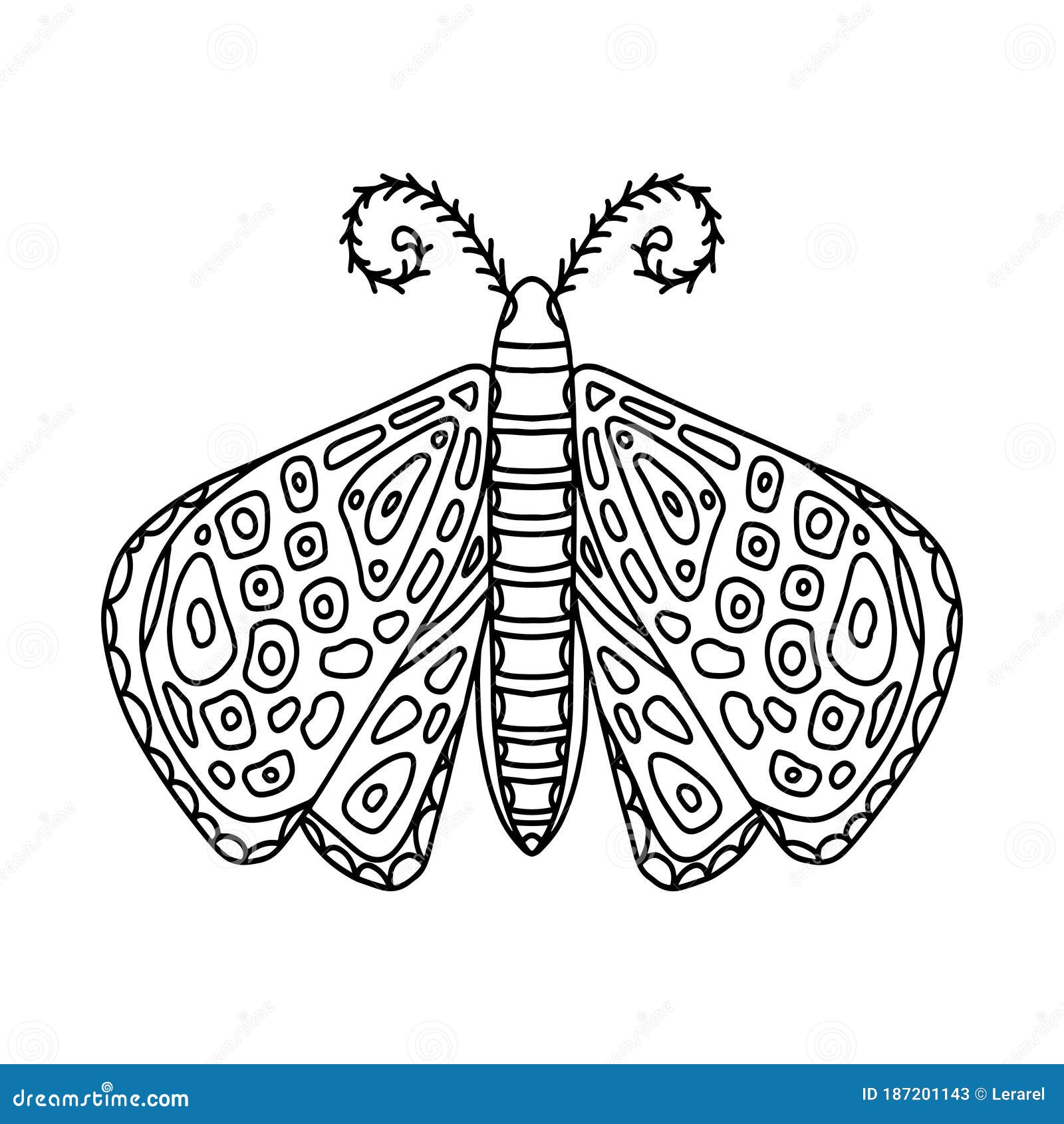 Butterfly moth black hand