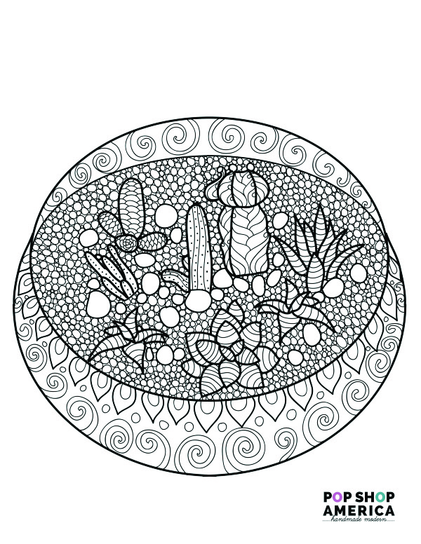 Free adult coloring book pages with succulent terrariums