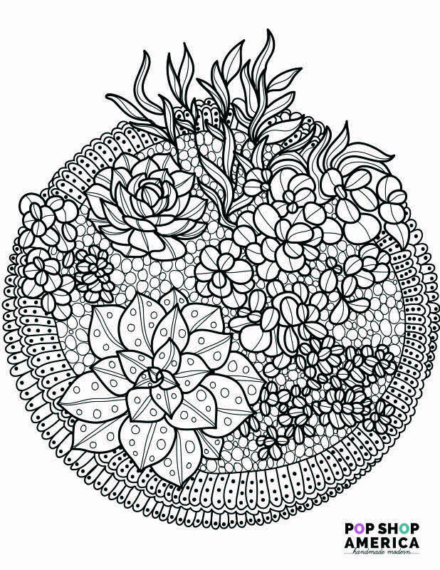 Free adult coloring book pages with succulent terrariums