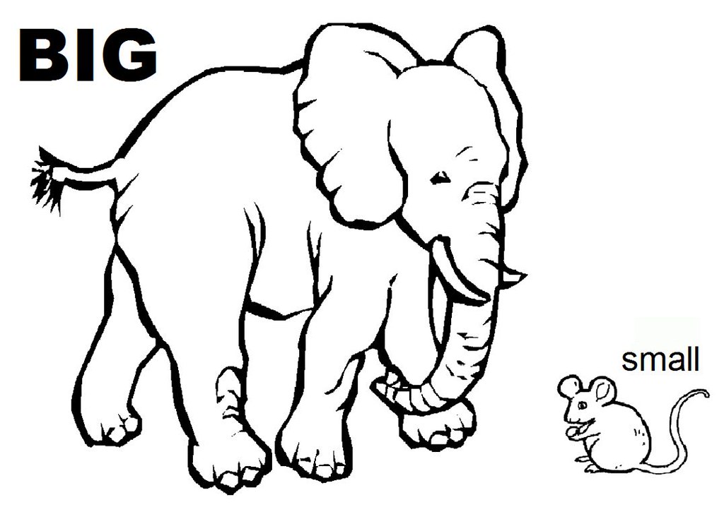 Opposites coloring sheet we handed out this coloring sheetâ