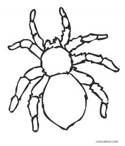 Free printable spider coloring pages for kids coolbkids spider coloring page coloring pages for kids coloring pages