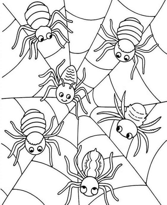 Free easy to print spider coloring pages spider coloring page halloween coloring pages coloring pages