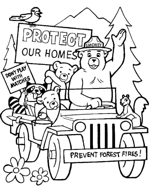 Little red bears âsmokey the bearâ coloring pages james milson