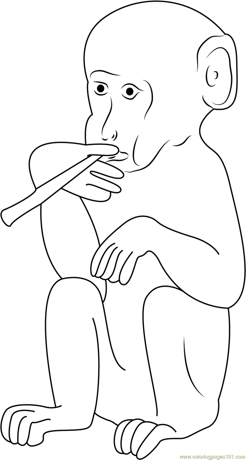 Smoking monkey coloring page for kids