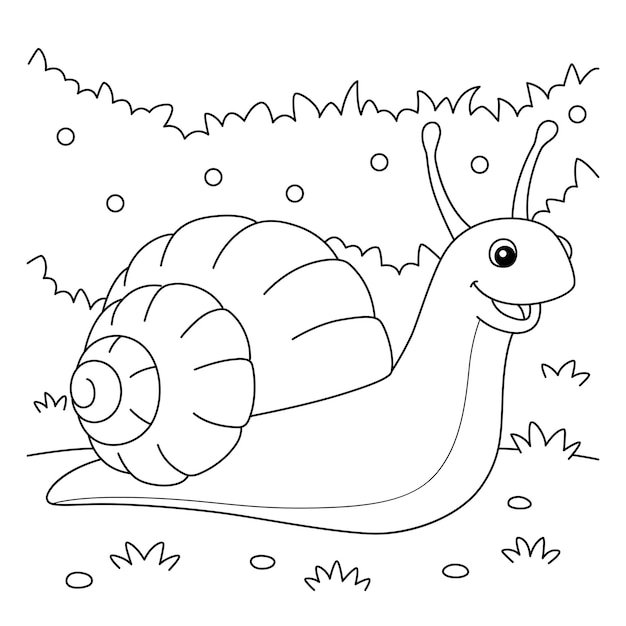 Premium vector snail animal coloring page for kids