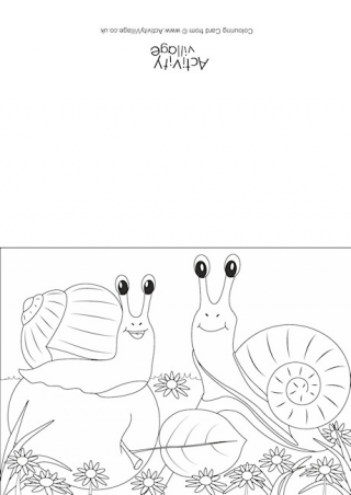 Snails for kids