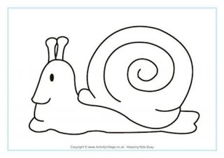 Snails for kids