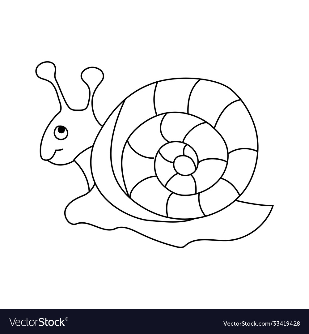 Simple outline drawing a snail royalty free vector image