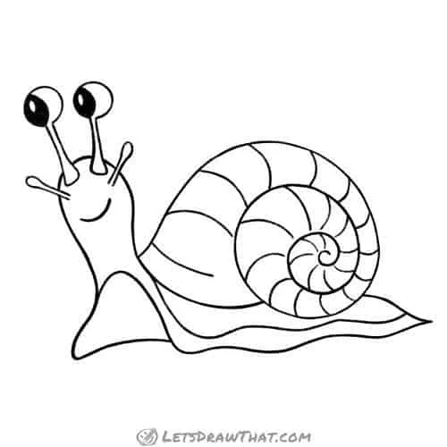 How to draw a snail a really cute snail drawing