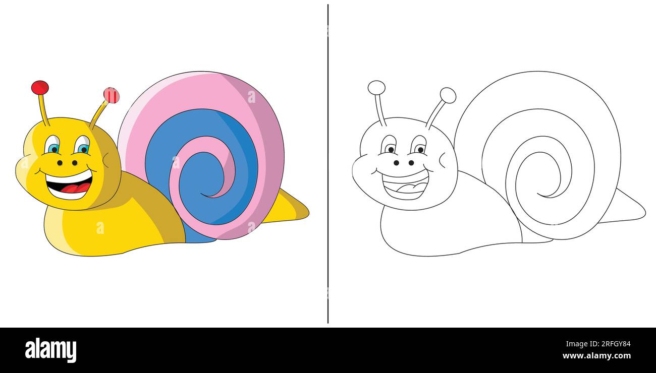Snail shell drawing hi