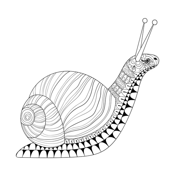 Snail free stock vectors
