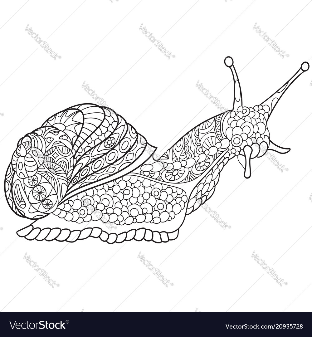 Snail coloring page royalty free vector image