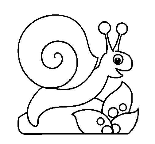 Snail coloring page