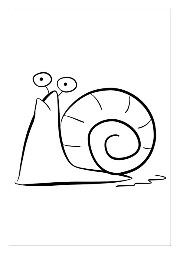 Snail coloring pages printable coloring sheets